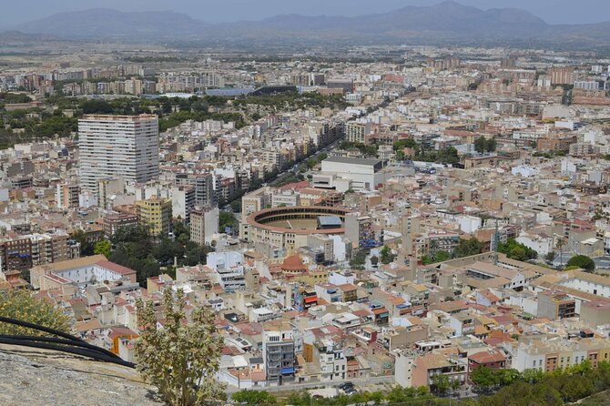 Alicante: Visit with Audio Guide Bullring and Bullfighting Museum - Seeing the arena from the floor instead of the seats