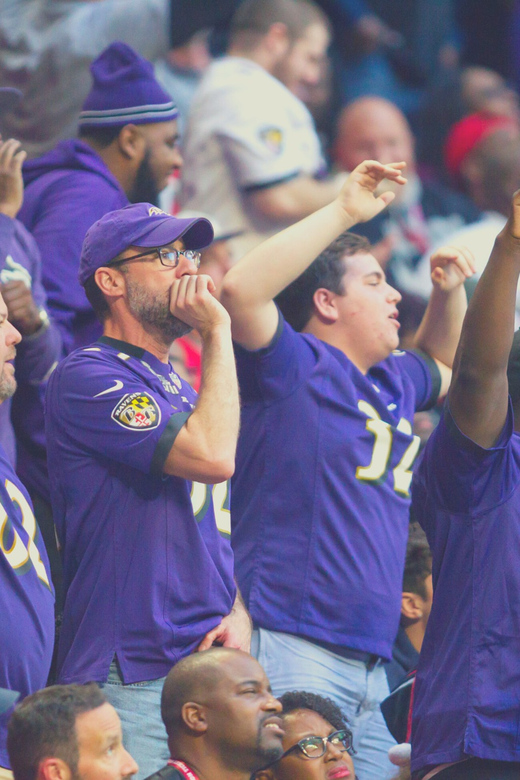 Baltimore: Ravens Football Game Ticket at M&T Bank Stadium - Crowd size, noise, and sensory comfort