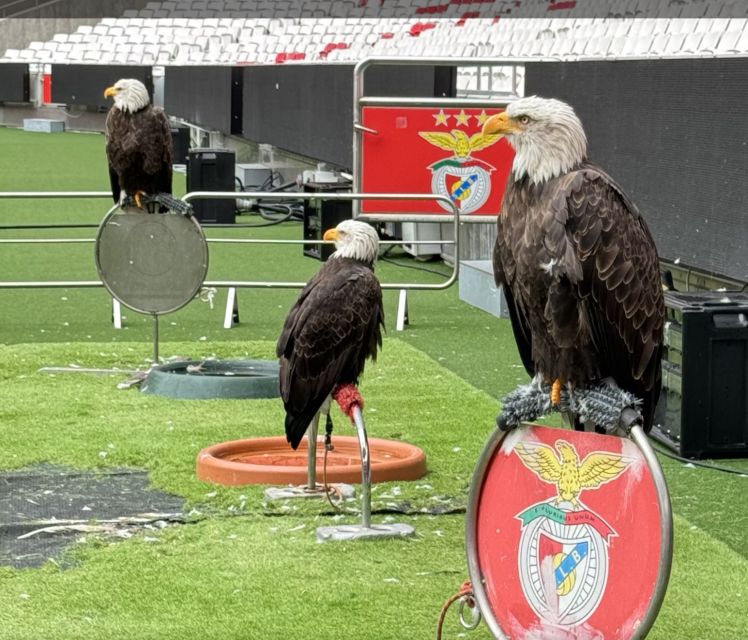 Benfica Stadium and Museum Tour - Match days, children, and access