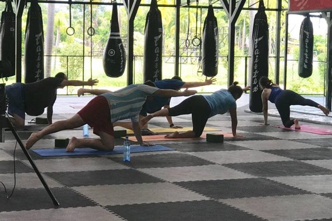 Chiang Mai: Muay Thai Boxing Experience - From Chiang Mai hotel to countryside boxing camp
