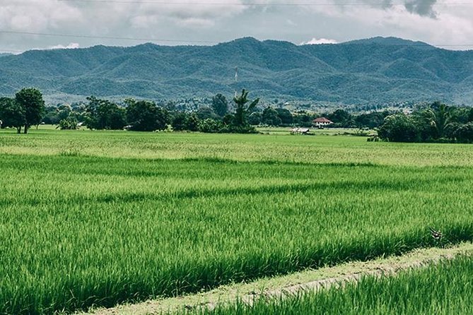 Chiang Mai: Muay Thai Boxing Experience - How the $82 price works for you