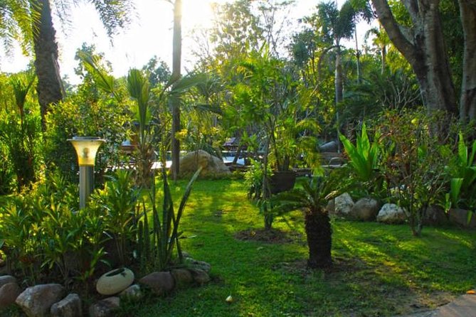 Chiang Mai: Muay Thai Boxing Experience - Who will enjoy this most