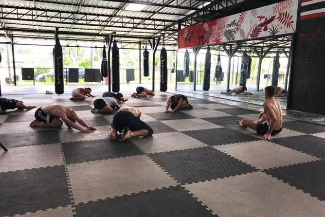 Chiang Mai: Muay Thai Boxing Experience - Learning Muay Thai from professional trainers