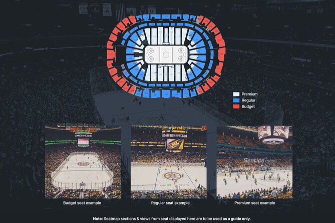 Dallas Stars Ice Hockey Game Ticket at American Airlines Center - The $18.13 price and what it really buys