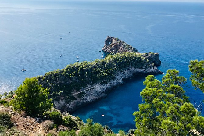 Explore Mallorca in Your Own Formula One Car - Palma’s port adds a city-and-sea change of pace