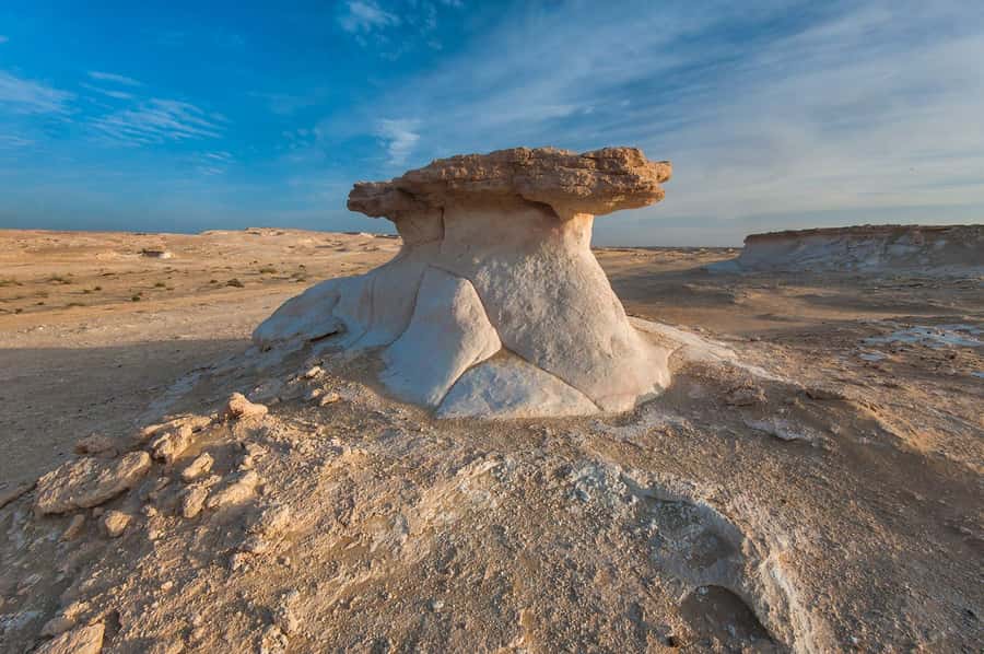 Explore West Qatar and Sheehaniya Camel racetrack visit. - Why the camel track is the real opener
