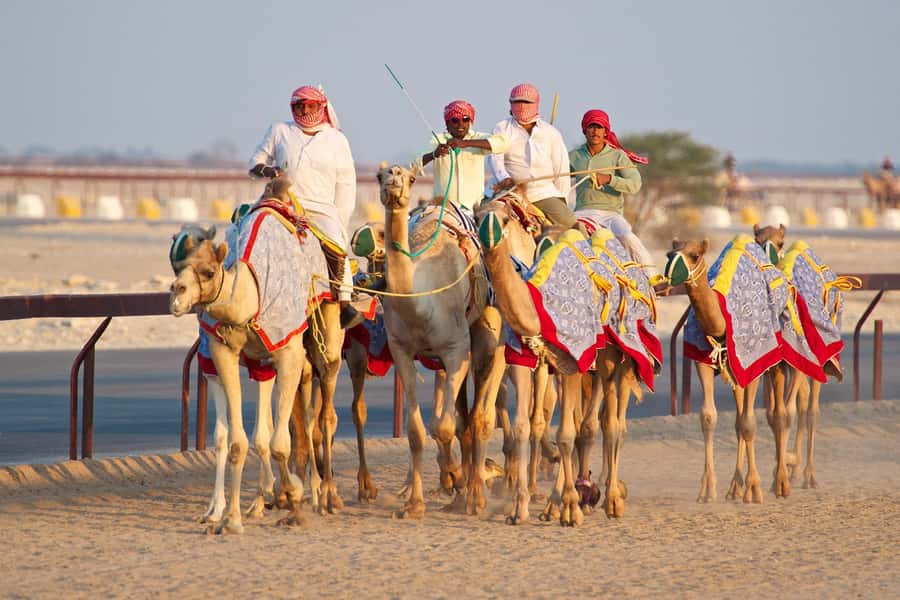 Explore West Qatar and Sheehaniya Camel racetrack visit. - The private 4x4 makes the four-hour route work