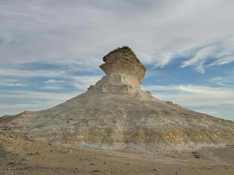 Explore West Qatar and Sheehaniya Camel racetrack visit. - Is $99 a fair price?
