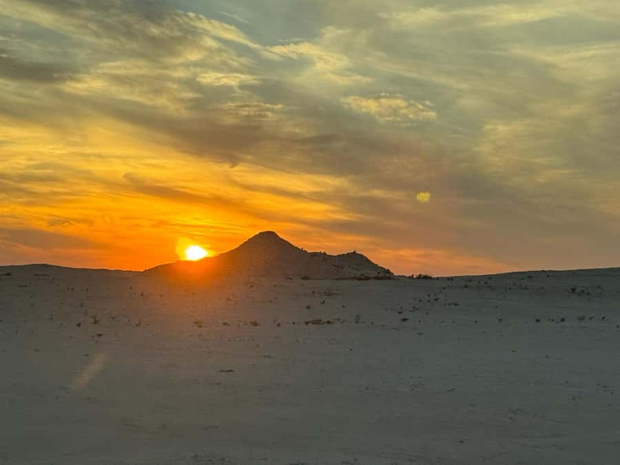 Explore West Qatar and Sheehaniya Camel racetrack visit. - Should you book the West Qatar tour?