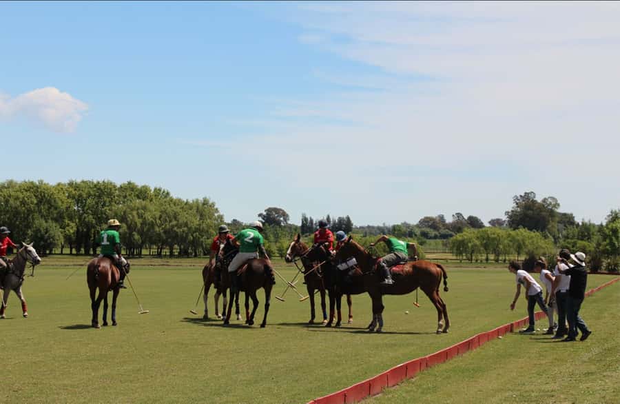 From Buenos Aires: Polo Match, Lesson, and BBQ Day-Trip - Why this polo day feels different from a standard day trip