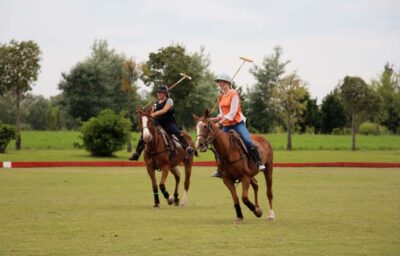 Polo Match, Lesson, and BBQ Day-Trip
