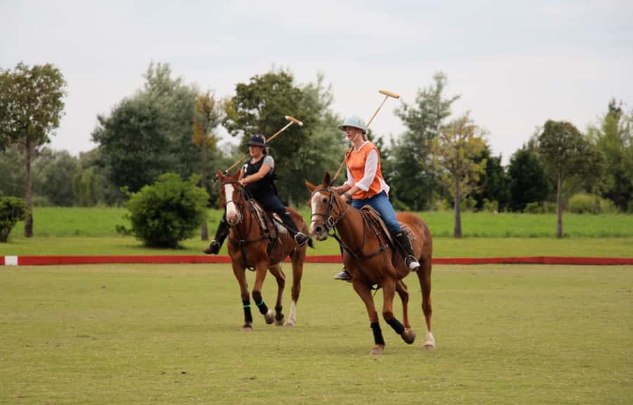 From Buenos Aires: Polo Match, Lesson, and BBQ Day-Trip - From Buenos Aires to the estancia