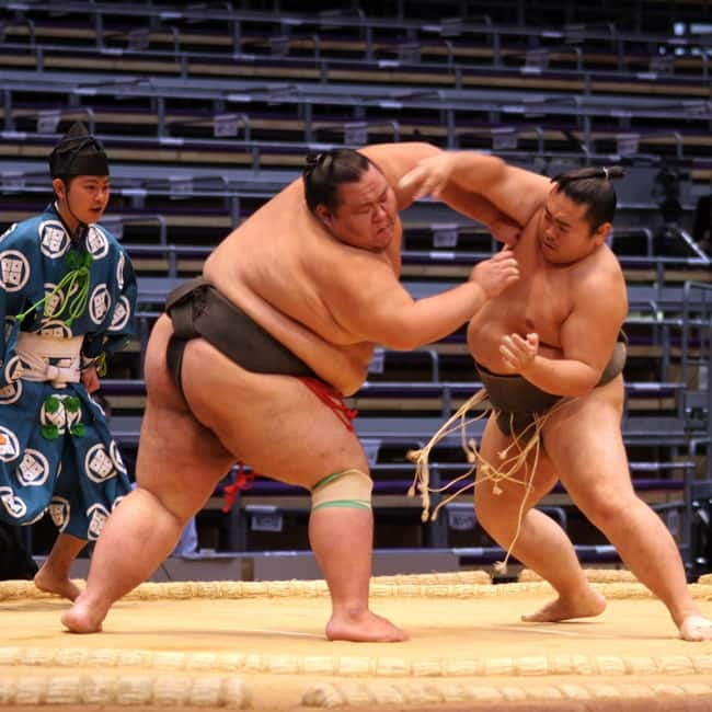 Fukuoka: Sumo Wrestling Tournament Chair Seats & ExpertGuide - What makes this Fukuoka sumo outing useful
