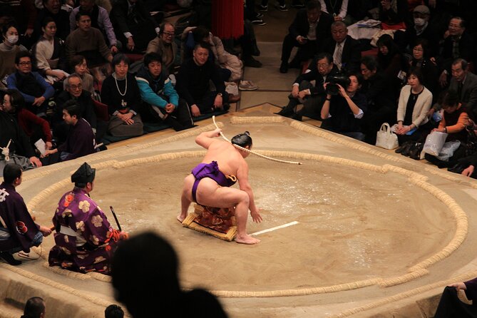 Grand Sumo Tournament Tour w/an English Guide ,Tokyo January 2026 - Why sumo works best with an English guide