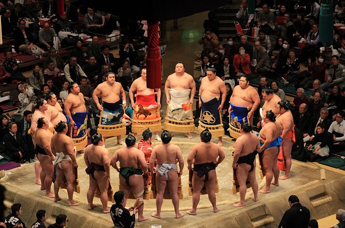 Grand Sumo Tournament Tour w/an English Guide ,Tokyo January 2026 - The Sumo Museum adds context before the matches