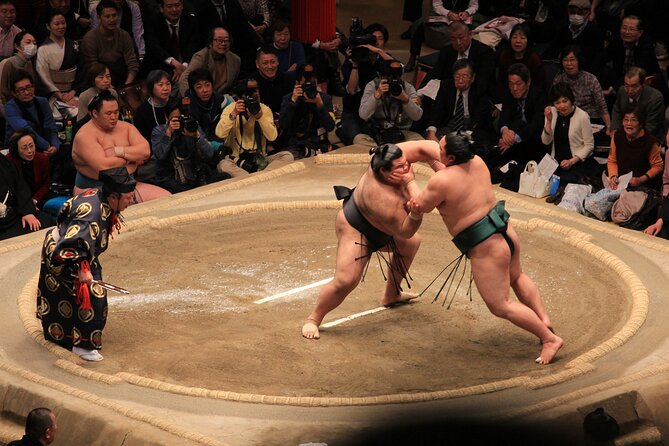 Grand Sumo Tournament Tour w/an English Guide ,Tokyo January 2026 - Learning to watch the people around the ring