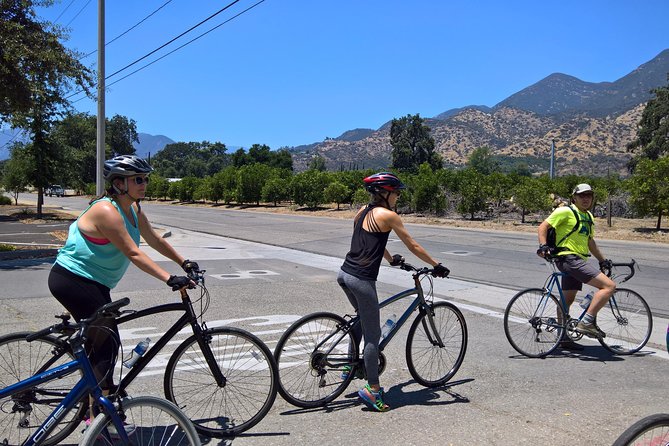 Guided Hiking, Biking and Tennis - A moderate foothill hike