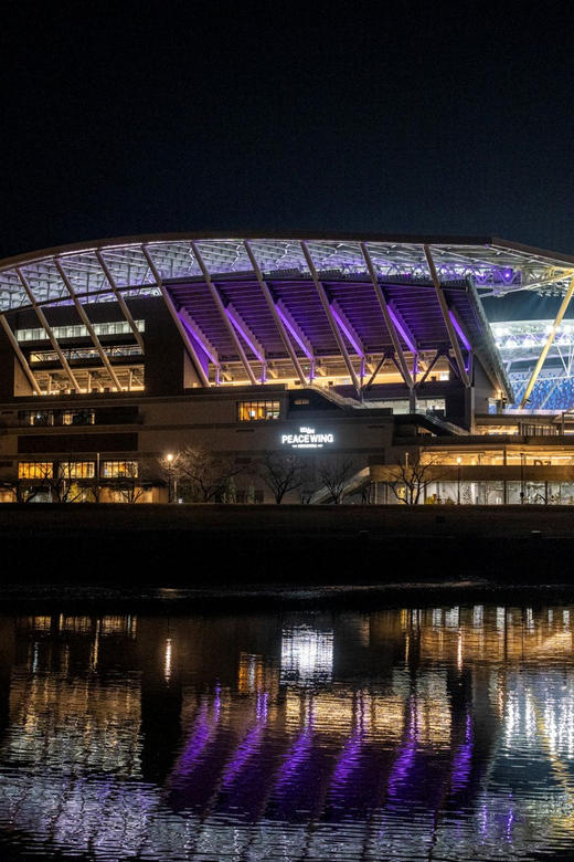 Hiroshima: Sanfrecce Hiroshima Football Game - Choosing your fixture and seat