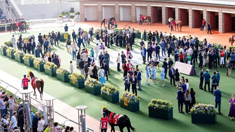 Hong Kong Jockey Club Racecourse Guided Tour with F&B - Food, entertainment, and the time between races