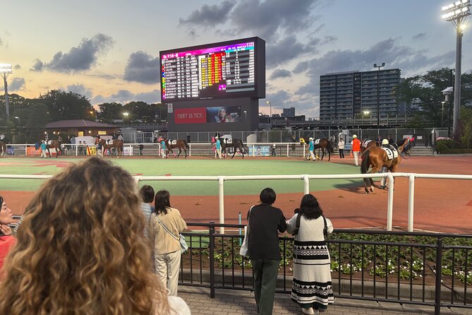 Horse Racing Tour with Local Fans in Tokyo, Oi Racecourse - Key things to know before you book