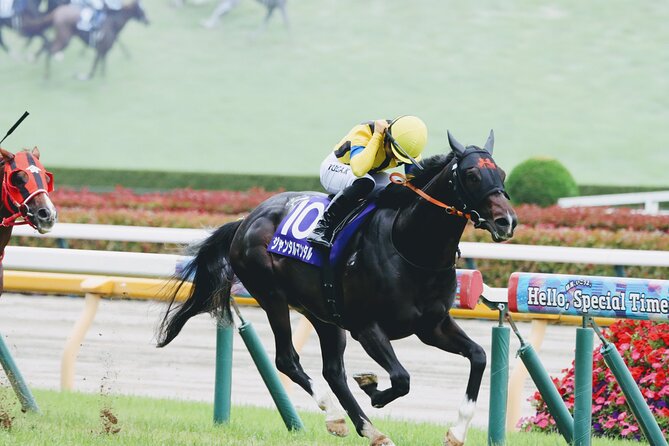 Horse Racing Tour with Local Fans in Tokyo, Oi Racecourse - Watching the races with local fans