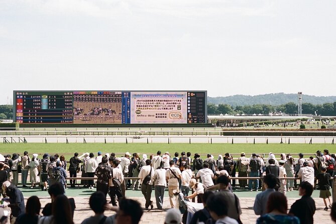 Horse Racing Tour with Local Fans in Tokyo Racecourse - Learning Japanese horse racing without reading Japanese