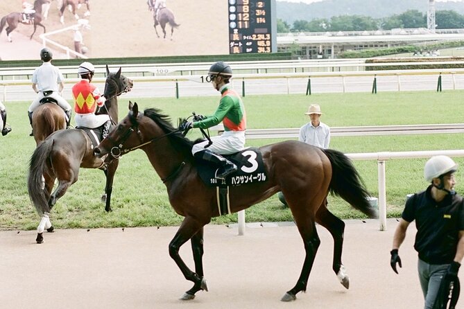 Horse Racing Tour with Local Fans in Tokyo Racecourse - Is $100 a fair price?