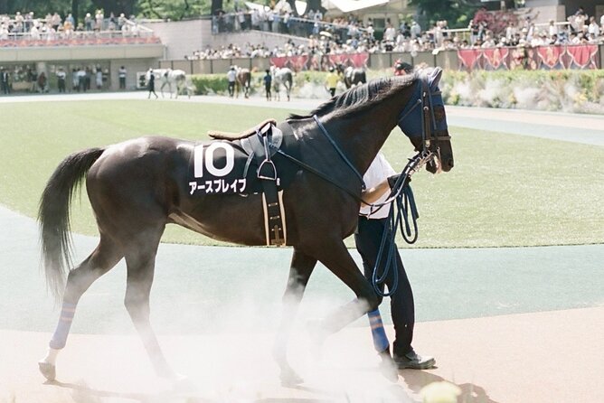 Horse Racing Tour with Local Fans in Tokyo Racecourse - Who should book this race-day outing?