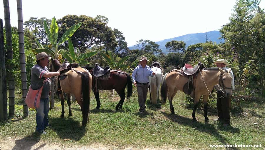 Horseback Riding Tour and visit to Tablón, Chaquira, Pelota - Key points at a glance