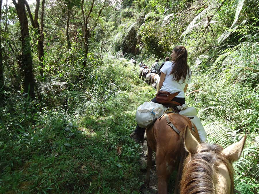 Horseback Riding Tour and visit to Tablón, Chaquira, Pelota - Why ride to San Agustín’s scattered monuments