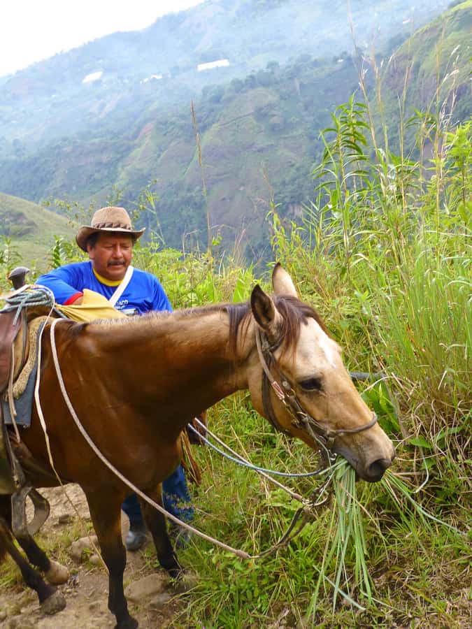 Horseback Riding Tour and visit to Tablón, Chaquira, Pelota - La Chaquira and the first wide-open views