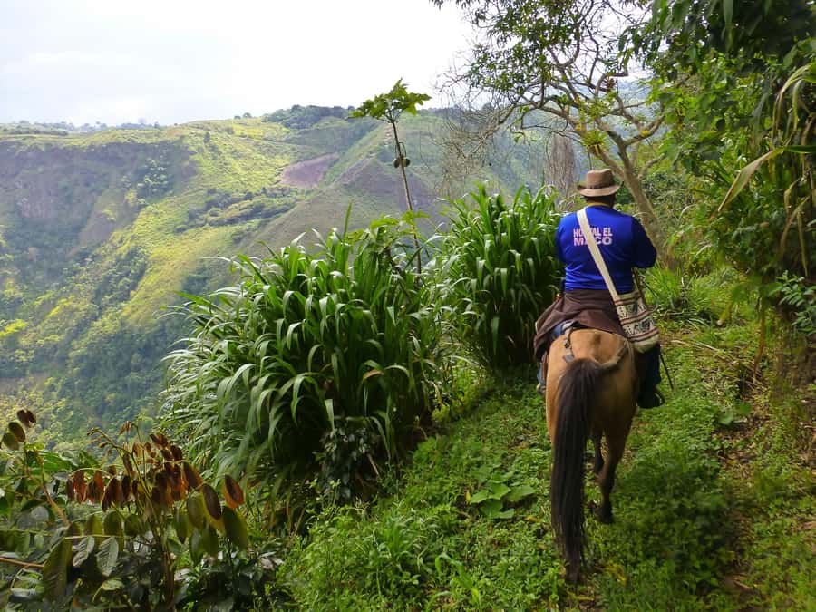 Horseback Riding Tour and visit to Tablón, Chaquira, Pelota - Starting at your hotel with the horse waiting