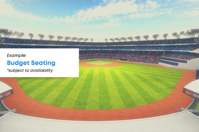 Houston Astros Baseball Game Ticket at Minute Maid Park - Who Should Book This Astros Game