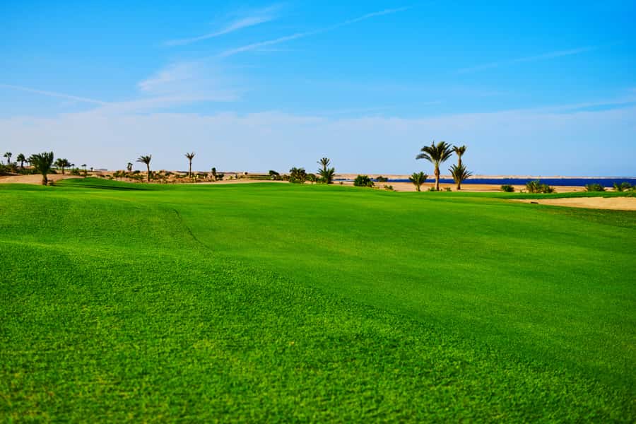 Hurghada: Golfing at the Madinat Makadi Golf Resort - Key points at a glance