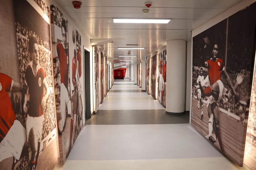 Lisbon: Benfica Luz Stadium Tour with Souvenir Scarf - Meeting Vitória and Glória, the Benfica eagles