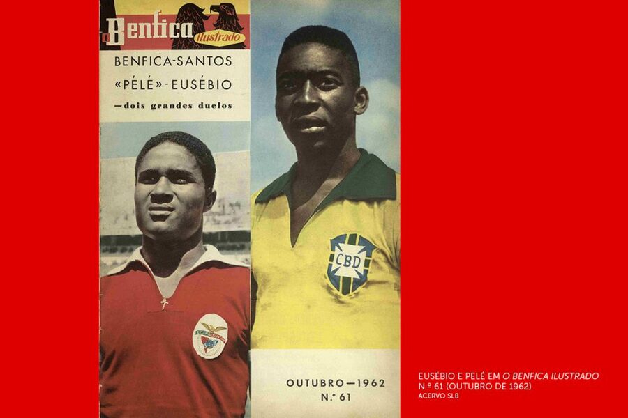 Lisbon: Customized Luz Stadium and Guided Museum Tour - What Could Be Better