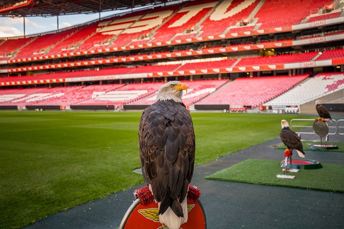 Lisbon SL Benfica Stadium & Museum Tour with Scarf - Three floors and 29 themed areas at Museu Benfica