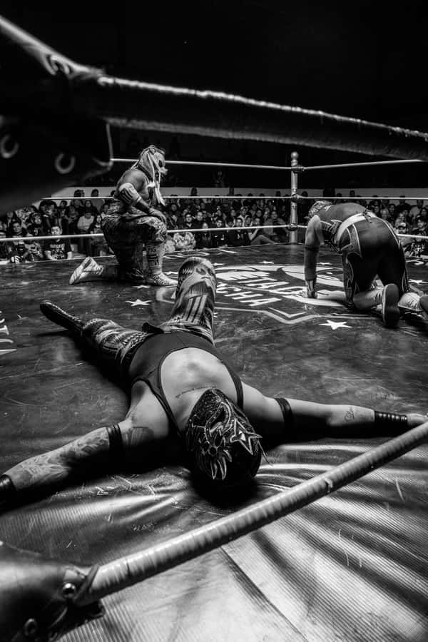 Mexico City: Mexican evening, lucha libre, and tequila - Key points to know before you book