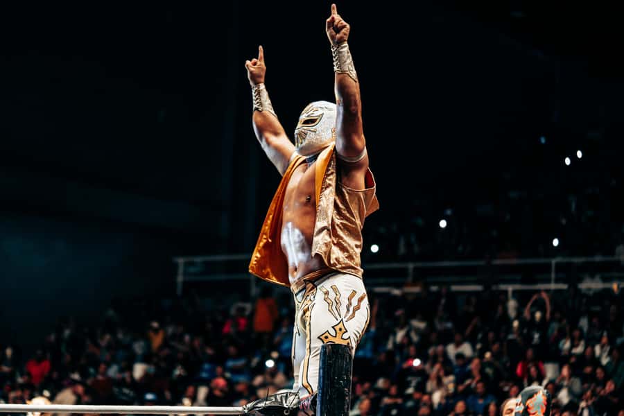 Mexico City: Mexican evening, lucha libre, and tequila - Why this Mexico City evening works so well
