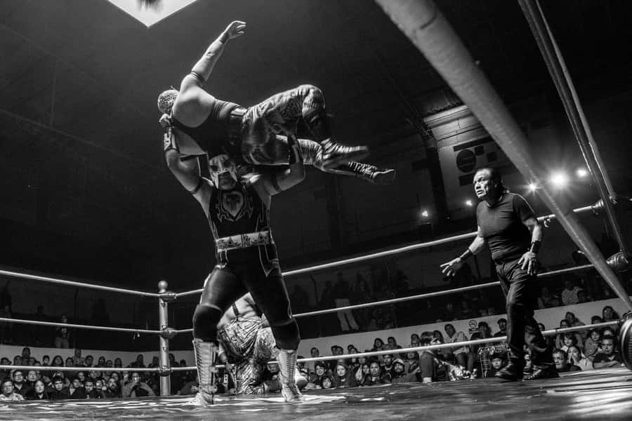 Mexico City: Mexican evening, lucha libre, and tequila - Tequila, mezcal, and the story behind the mask
