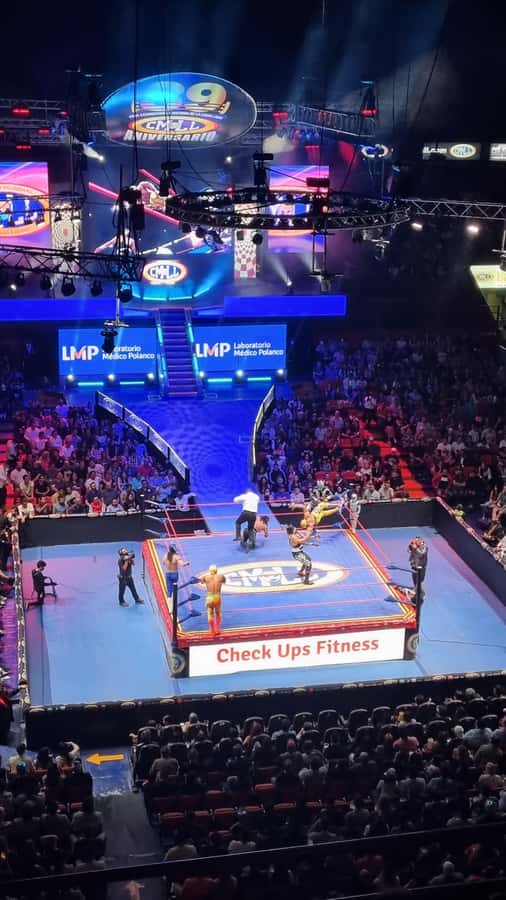 Mexico City: Mexican evening, lucha libre, and tequila - Practical advice for a smoother night
