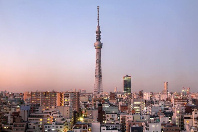 Morning Sumo Practice Viewing in Tokyo - Key points to know before booking