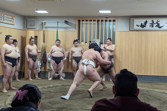 Morning Sumo Practice Viewing in Tokyo - Why a sumo stable offers more than a tournament seat