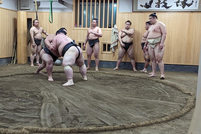 Morning Sumo Practice Viewing in Tokyo - Who will enjoy this morning best