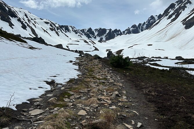 Mount Marathon Bowl / Race Summit with Seward Guided Hikes - Climbing the Mount Marathon Jeep Trail