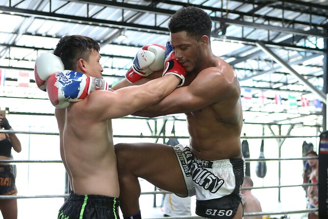 Muay Thai Experience - 1/2 Day - A morning at Gym Bangarang