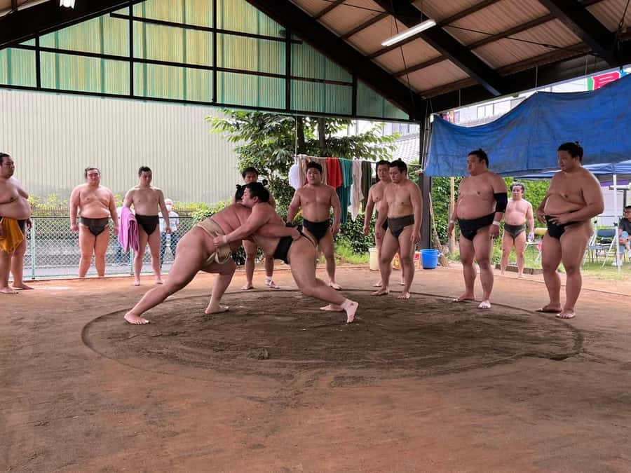Nagoya: Visit Sumo Morning Practice with English Guide - Why morning practice feels different from a tournament