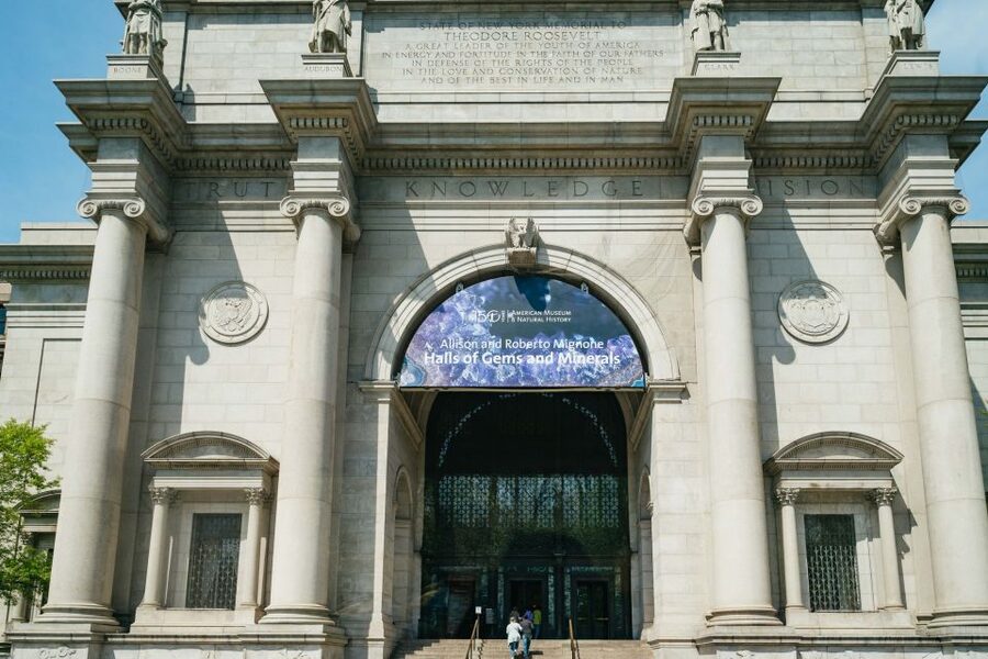 NYC: Harlem & Bronx with Yankees Baseball Game, 1-Day Tour - Guides, languages, and group comfort