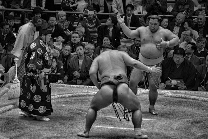 Official Sumo Tournament Ticket with Guided Experience - Why a live sumo tournament is worth your time