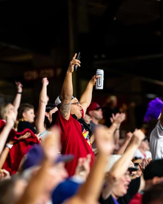 Phoenix: Arizona Diamondbacks Baseball Game at Chase Field - Getting your digital ticket and choosing a seat